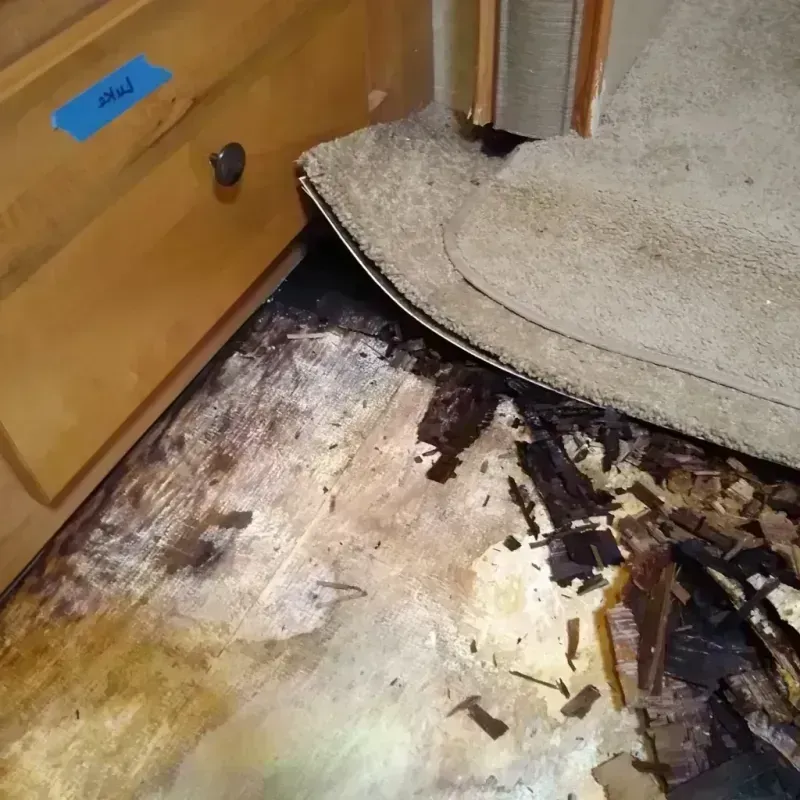 Wood Floor Water Damage in Tukwila, WA